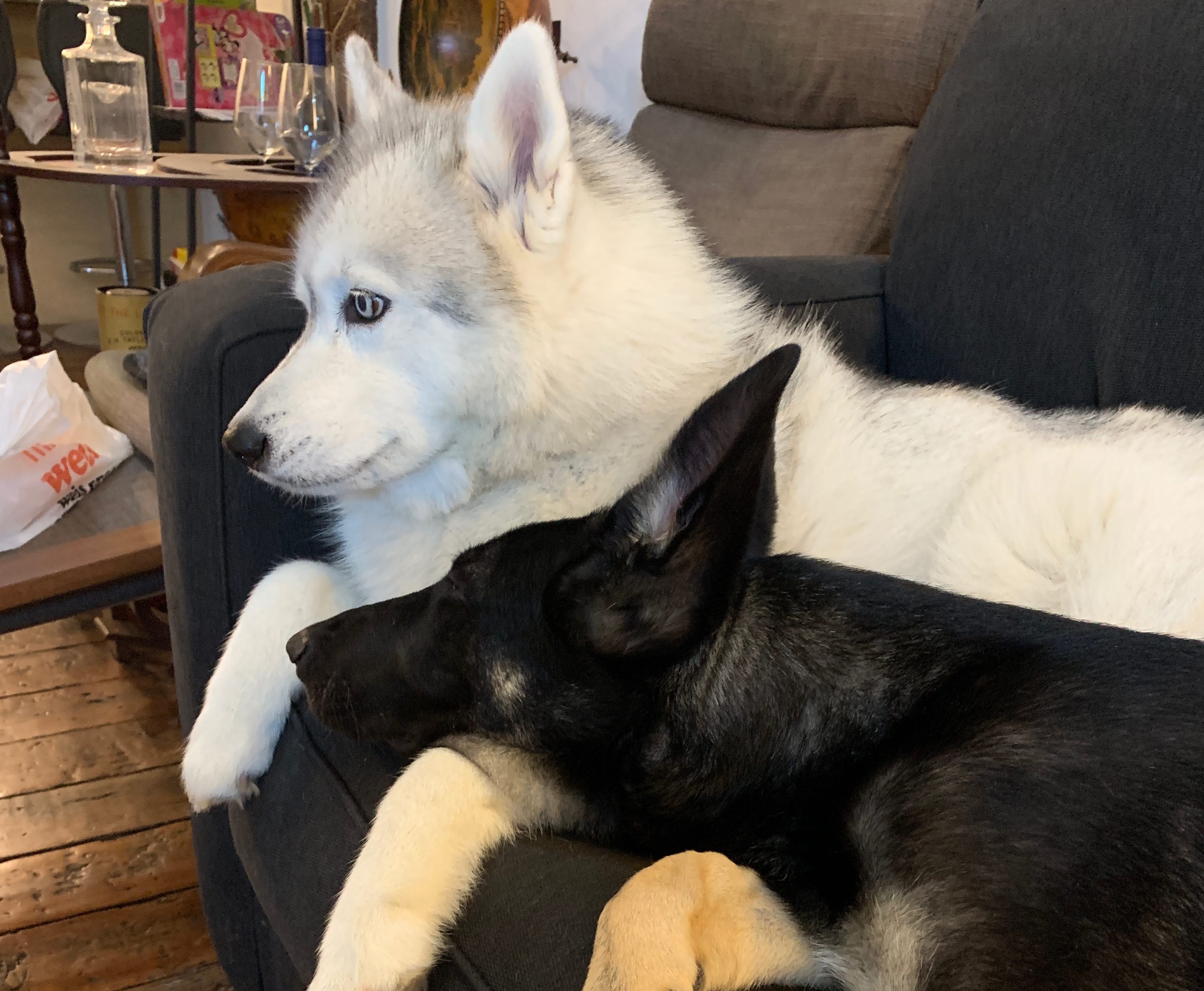 Mika and Tarkin